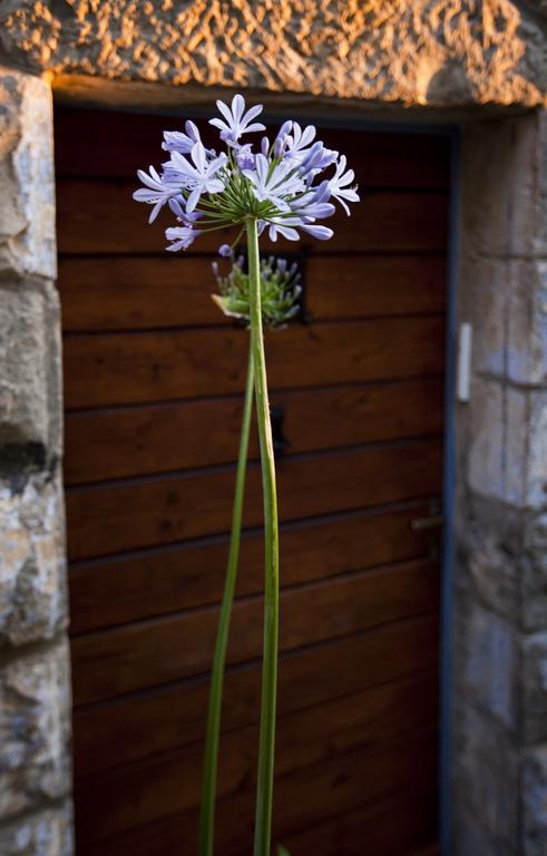 The Nest - A Romantic Vacation Home In Ein Kerem - Yerusalem Ruang foto