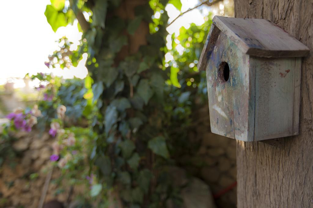 The Nest - A Romantic Vacation Home In Ein Kerem - Yerusalem Ruang foto