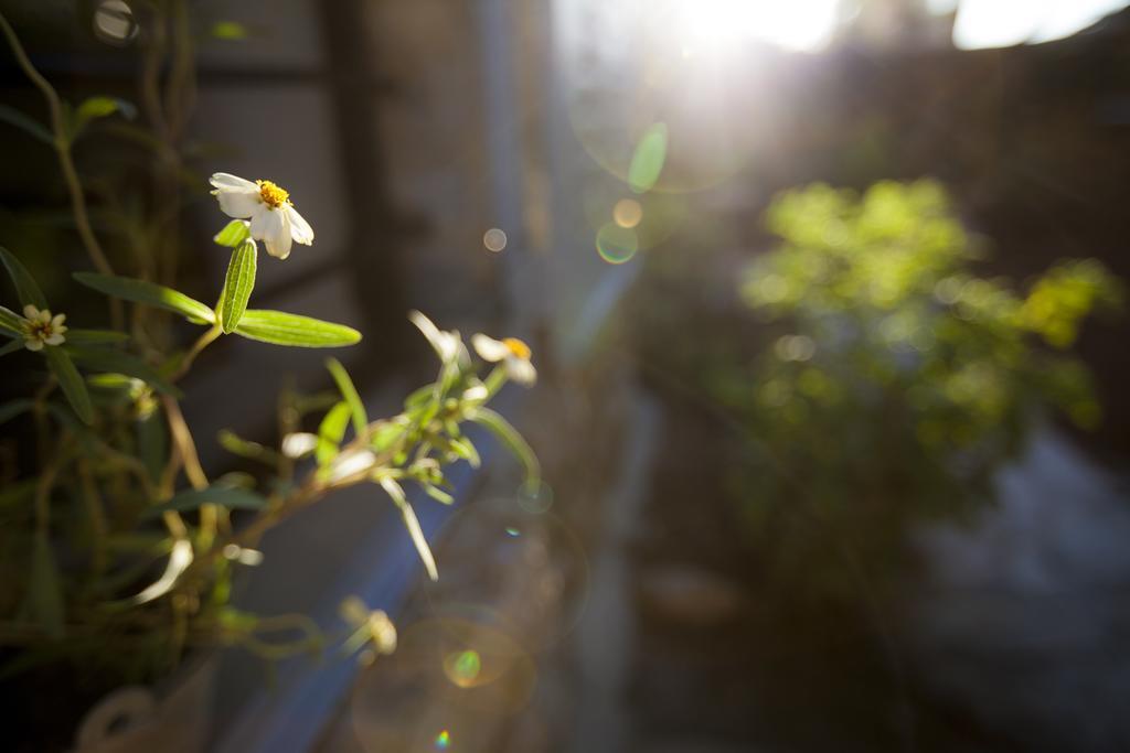 The Nest - A Romantic Vacation Home In Ein Kerem - Yerusalem Bagian luar foto