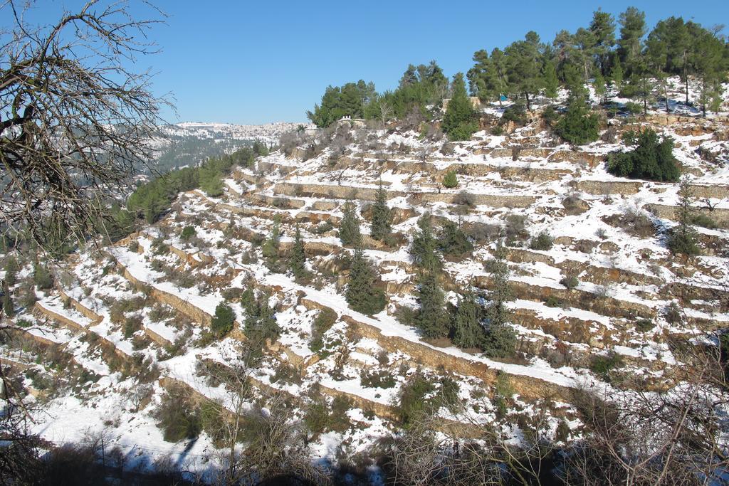 The Nest - A Romantic Vacation Home In Ein Kerem - Yerusalem Bagian luar foto