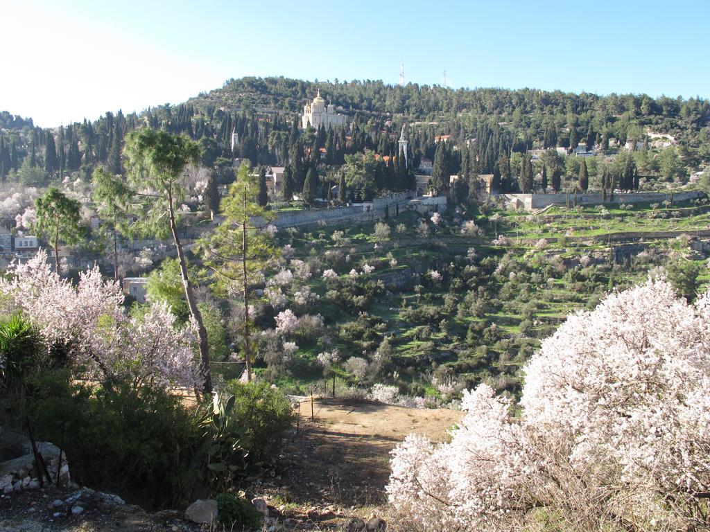 The Nest - A Romantic Vacation Home In Ein Kerem - Yerusalem Bagian luar foto