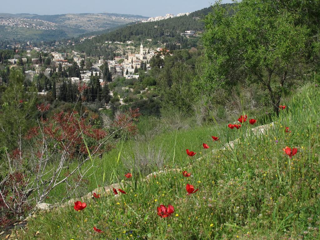 The Nest - A Romantic Vacation Home In Ein Kerem - Yerusalem Bagian luar foto