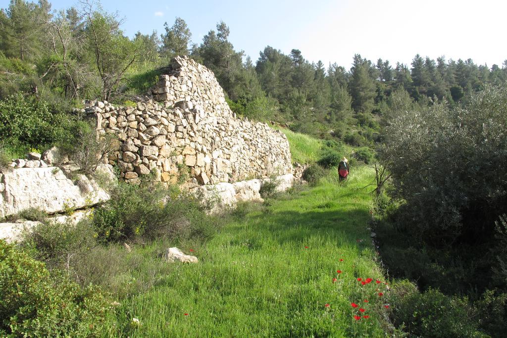 The Nest - A Romantic Vacation Home In Ein Kerem - Yerusalem Bagian luar foto